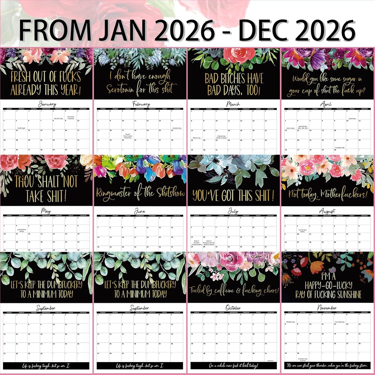 Humor-Filled Daily Calendar